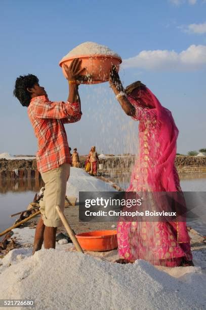 32 Phalodi Stock Photos, High-Res Pictures, and Images - Getty Images