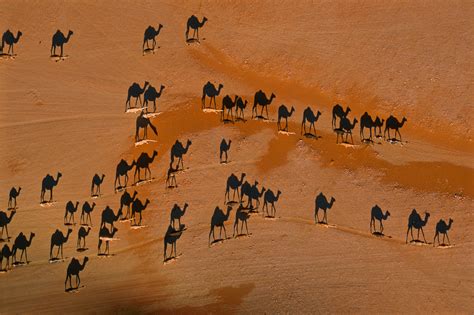 George Steinmetz's Aerial Photos of Deserts Around the World - The New York Times