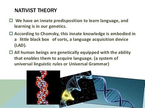 The Language Acquisition Process