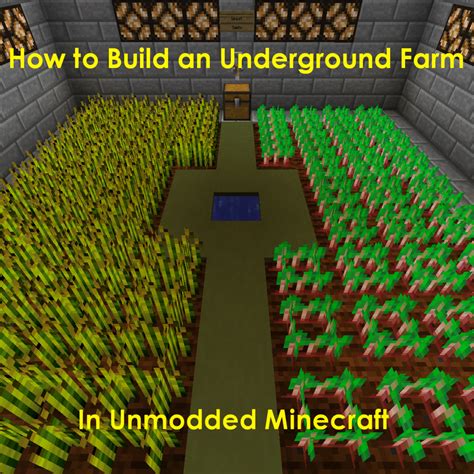 How to Build an Underground Farm in "Minecraft" - LevelSkip