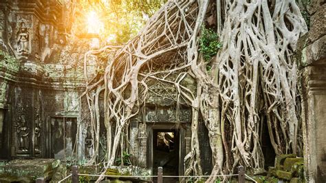 The Best Angkor Wat Tours & Trips 2025 - TourRadar