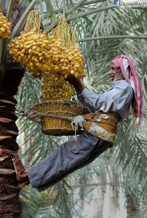 Never hesitate to tell the truth - shako-mako: Iraq | Baghdad, World cultures, Iraq