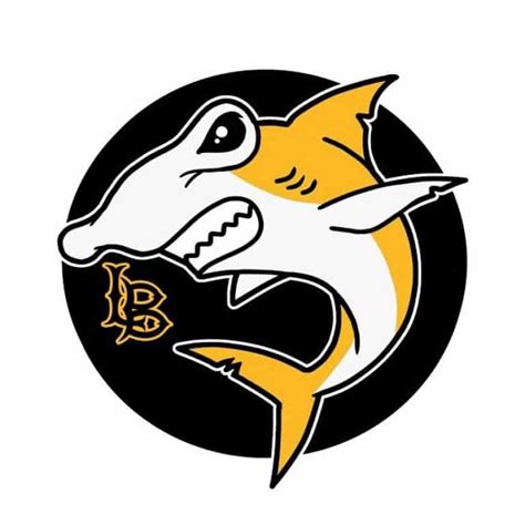 Final verdict: sharks are in as CSULB's new mascot • Long Beach Post News