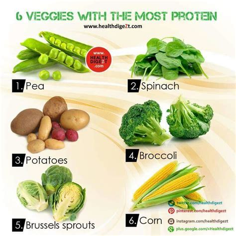 Veggies with protein | Veggies with protein, Veggies, Food