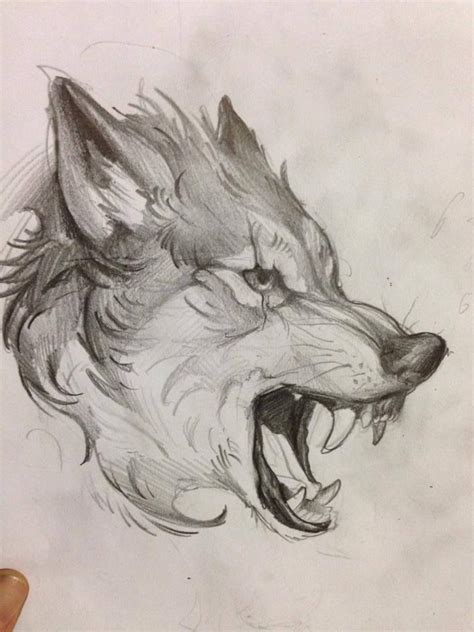 Resultado De Imagen Para Dibujos A Lapiz Lobo Dibujo A Lapiz Lobos A ...