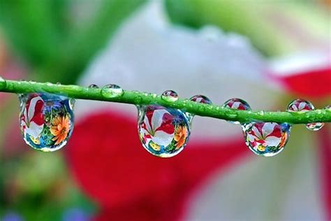 Water Drop Photography - Photography