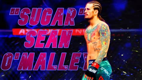 "SUGAR" Sean O'Malley - Highlights 2021 [HD] - YouTube