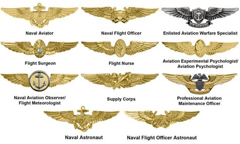 Badges of the United States Navy - Wikipedia | United states navy, Naval aviator, Navy special ...