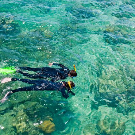 Snorkelling | Whitsundays Islands | Explore Group