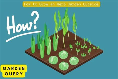 How To Grow An Herb Garden Outside? Provide Regular Care!