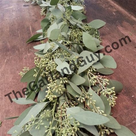 Seeded Eucalyptus Garland - Etsy