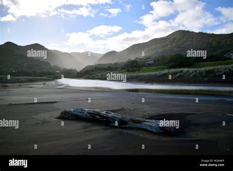 Piha Beach, New Zealand Stock Photo - Alamy