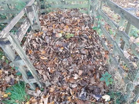 How To Compost Leaves and Grass Clippings – No Dig Vegetable Gardening Blog