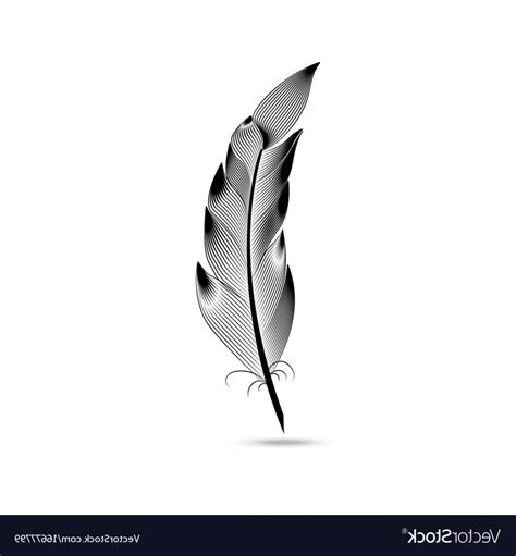 Black Feather Vector at Vectorified.com | Collection of Black Feather ...