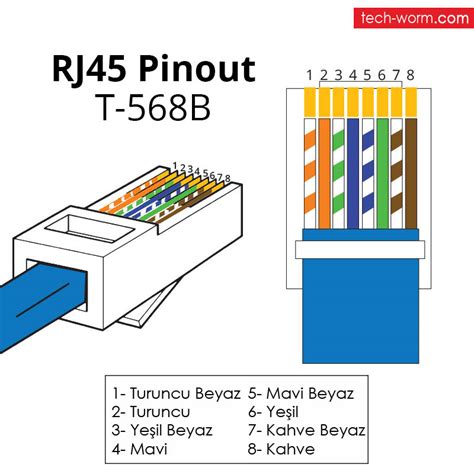 RJ45 Nedir? RJ45 (Cat5-Cat6) Kablo Bağlantısı Nasıl Yapılır? » TechWorm