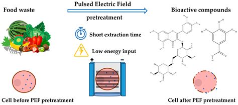 Biomass | Free Full-Text | Pulsed Electric Field Applications for the ...