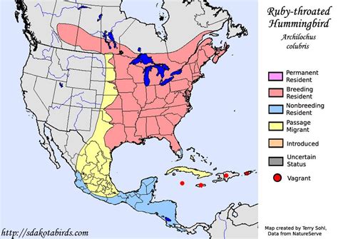 Ruby-throated Hummingbird - Archilochus colubris - Range Map | Hummingbird habitat, Barn swallow ...