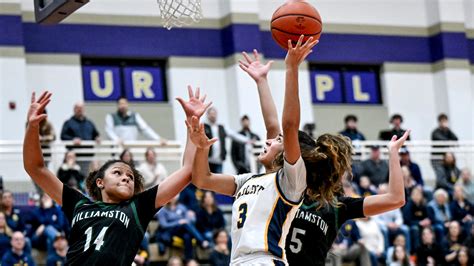 Sophomore quartet lifts Haslett girls basketball to district title win