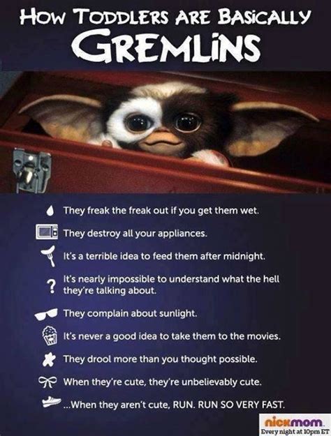 The best Gremlins memes :) Memedroid