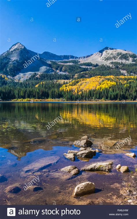 Herbst Farbe am Lost Lake Campground von Kebler Pass Road in Colorado ...