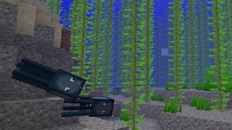 Minecraft Kelp: Location, uses and more!