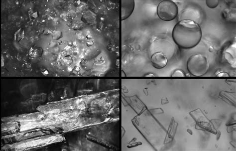 Particle Size Analysis for Process Optimization