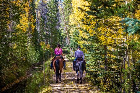 All-Inclusive Horseback Riding Vacation - Rawah Ranch | Luxury Ranch ...