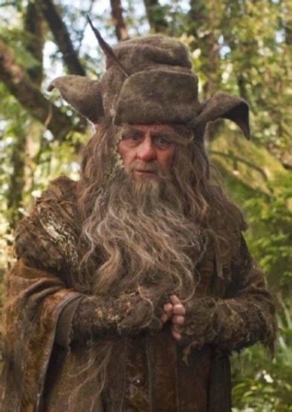 Photos of Radagast The Brown on myCast - Fan Casting Your Favorite Stories