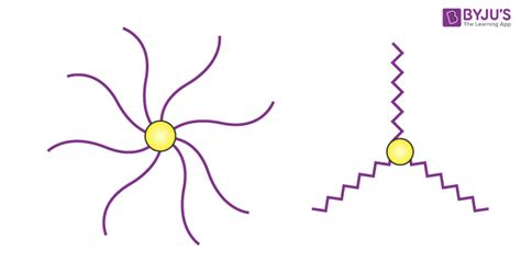 Copolymer - Definition, Types of Copolymerization, Examples