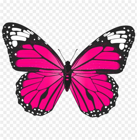 Free download | HD PNG pink butterfly clipart png photo - 48457 | TOPpng