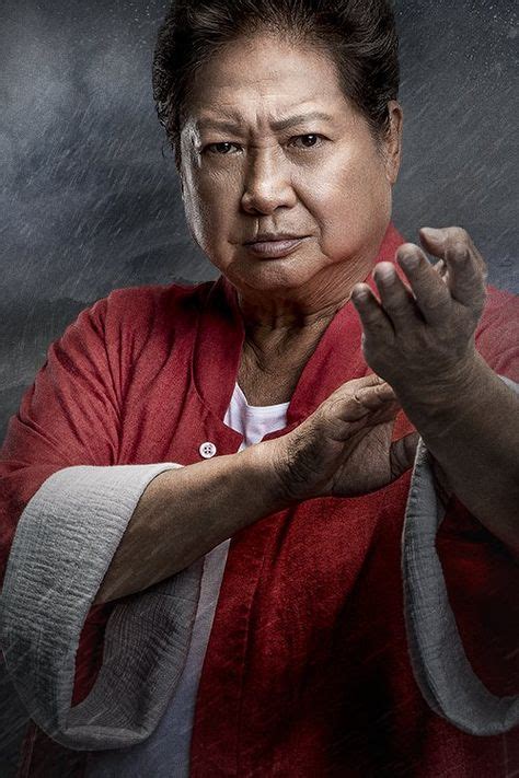 15 Sammo Hung ideas in 2021 | sammo hung, martial arts, martial