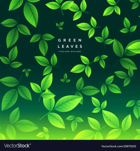 Awesome green tea leaves background Royalty Free Vector