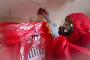 Asbestos Removal Cost Guide for 2024