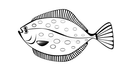 Stylish Illustration Of Flounder Isolate Stock Illustration - Image: 11062473