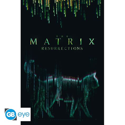 THE MATRIX Cat Poster (91.5x61cm)