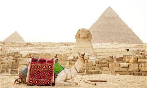 Half Day Tour to Pyramids and sphinx I Private Pyramids Tour I Cairo Tours