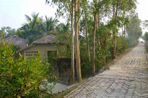 15 Ways and Places to Experience Rural India / Greenstories