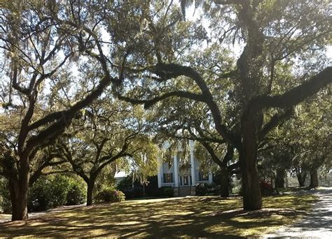 McLeod Plantation Historic Site (Charleston) - 2020 All You Need to Know BEFORE You Go (with ...