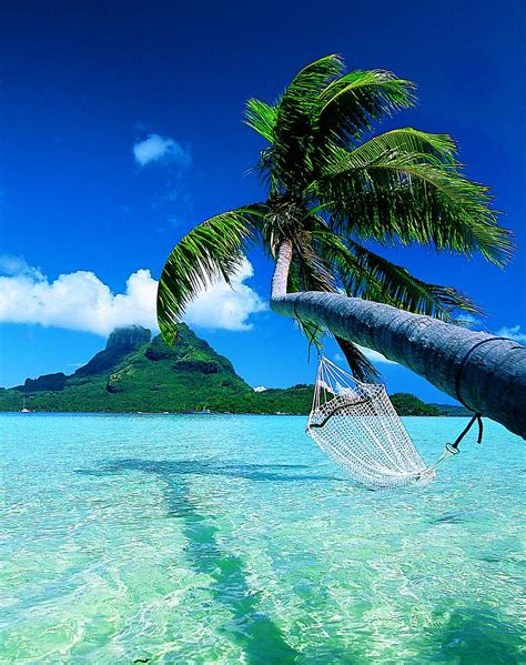 Information Hub Of Besties.: Bora Bora Island Paradise Images