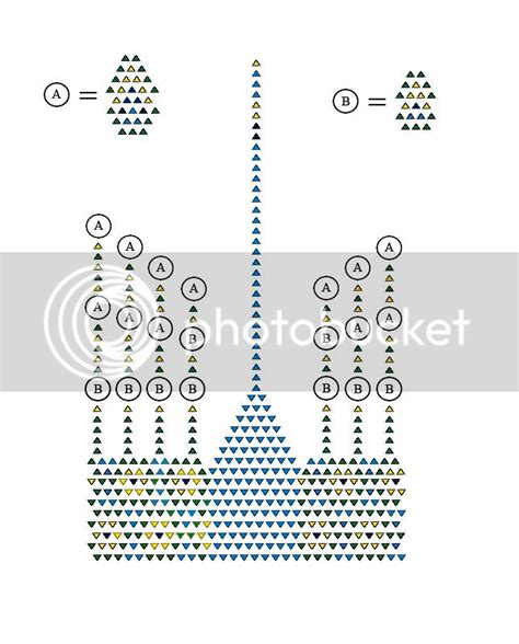 Realistic Peacock Diagram Photo by Gimeniux | Photobucket