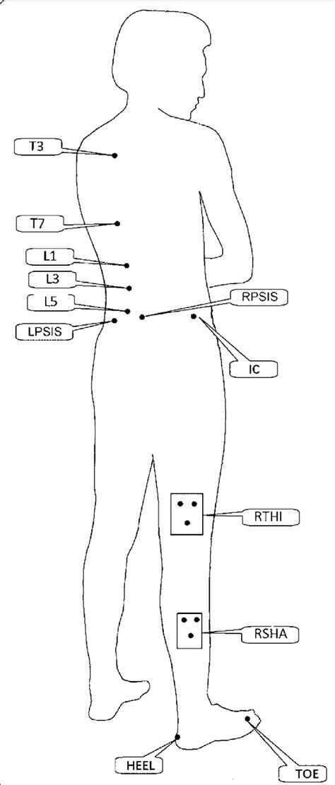 The location of marker placement. T3, T7-the third and seventh thoracic... | Download Scientific ...