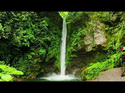 4k UHD Jungle Waterfall Sounds. (Nature ASMR) White noise for sleep/stud... : r/natureisbeautiful