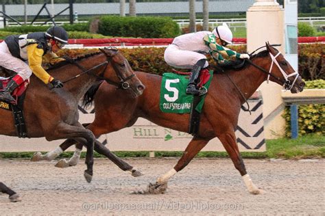 Gulfstream Park Resumen - 4 de Julio 2020 - VideoHipico.com