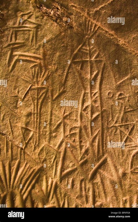 Neolithic stone carvings in Edakkal shelter in the Wayanad District of ...