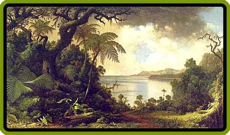 Fern Gully-19th century