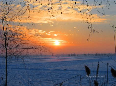 Sunset in south of China in winter realistic original Painting in Oil for Sale