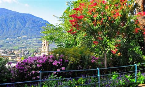 The Most Beautiful Destinations in Europe for Spring Flowers - VBT ...