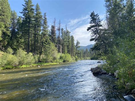 It’s Your Forest Service - Bitterroot Valley Real Estate