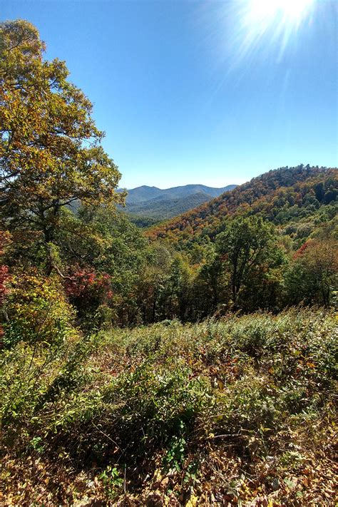 Blue Ridge Parkway near Asheville | Our Wander Years