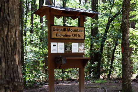 5 Reasons to Visit Driskill Mountain in 2021 – PeachTown